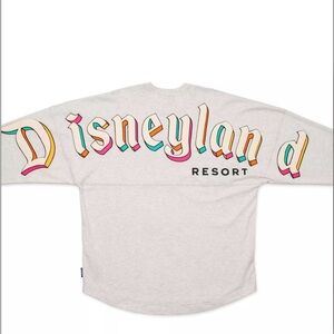 Disneyland Resort 2024 Disney Colorblock Gray Spirit Jersey Colored Banner Large